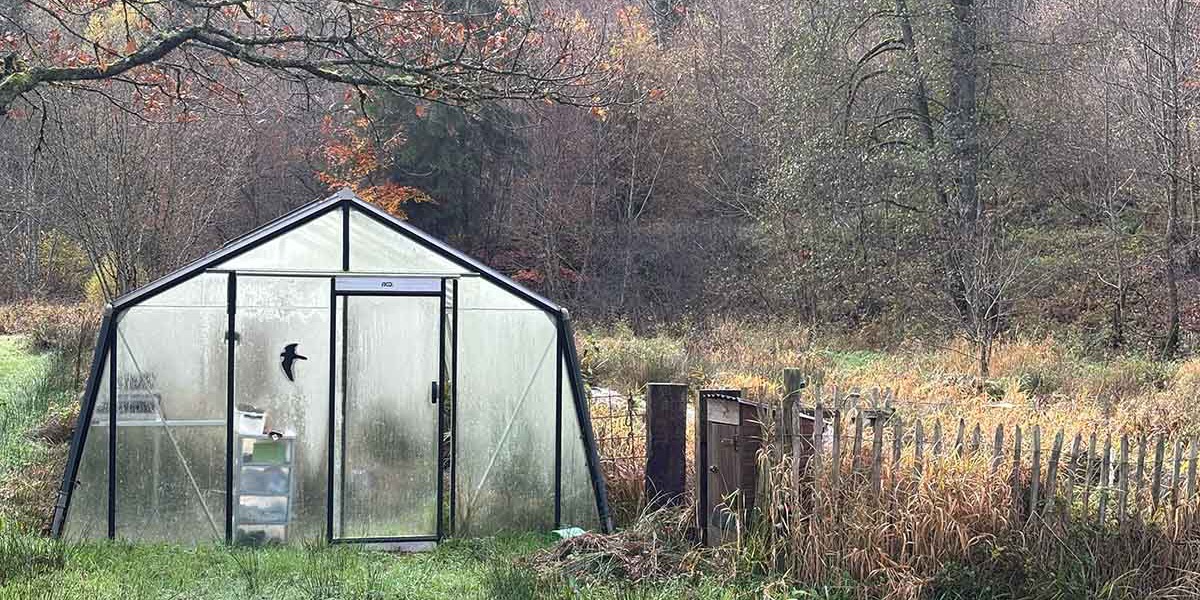 De serre met moestuin van La Truite d'Argent in de Ardennen