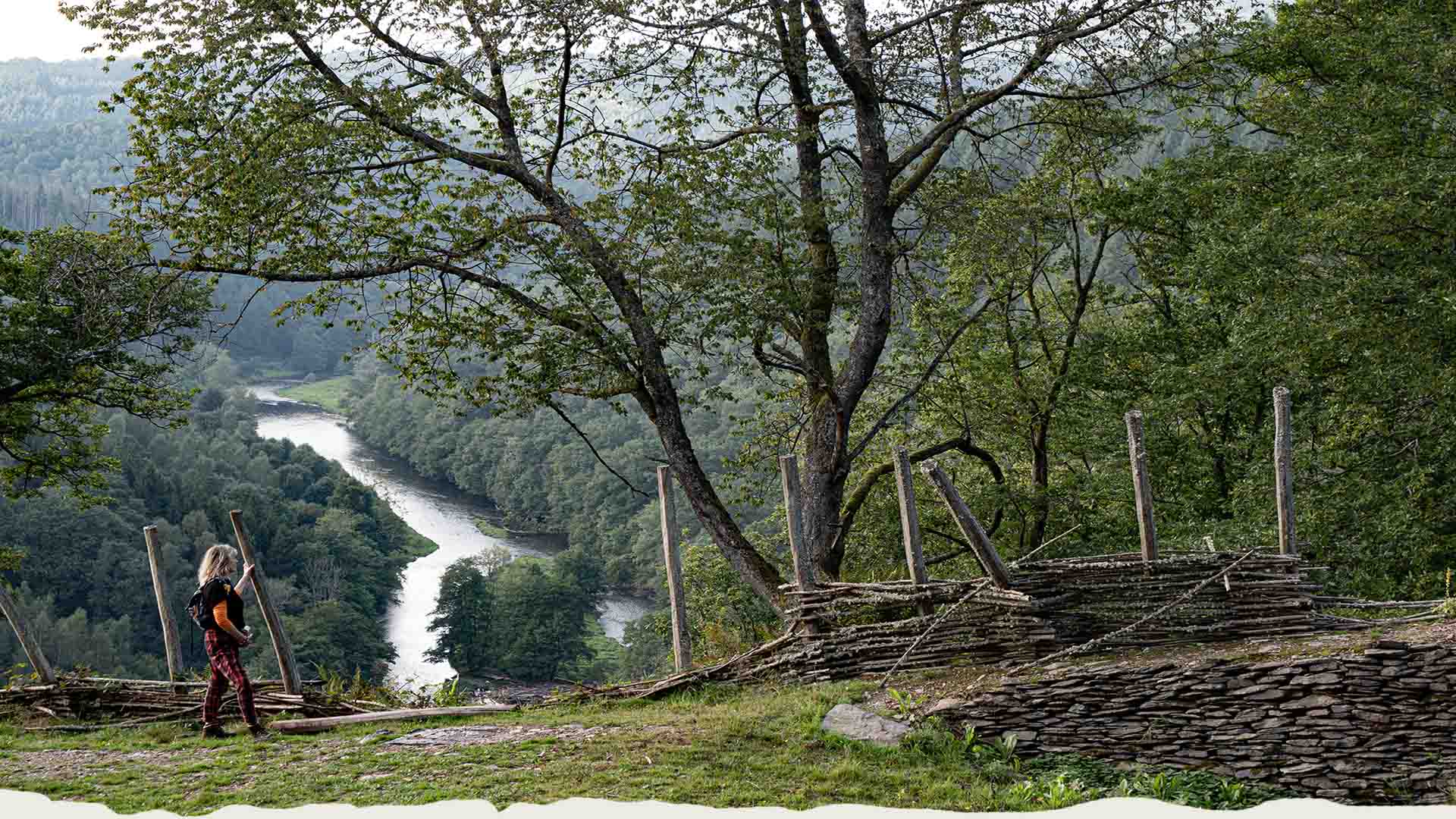View in the Ardennes at the 5 Ourthes viewpoint