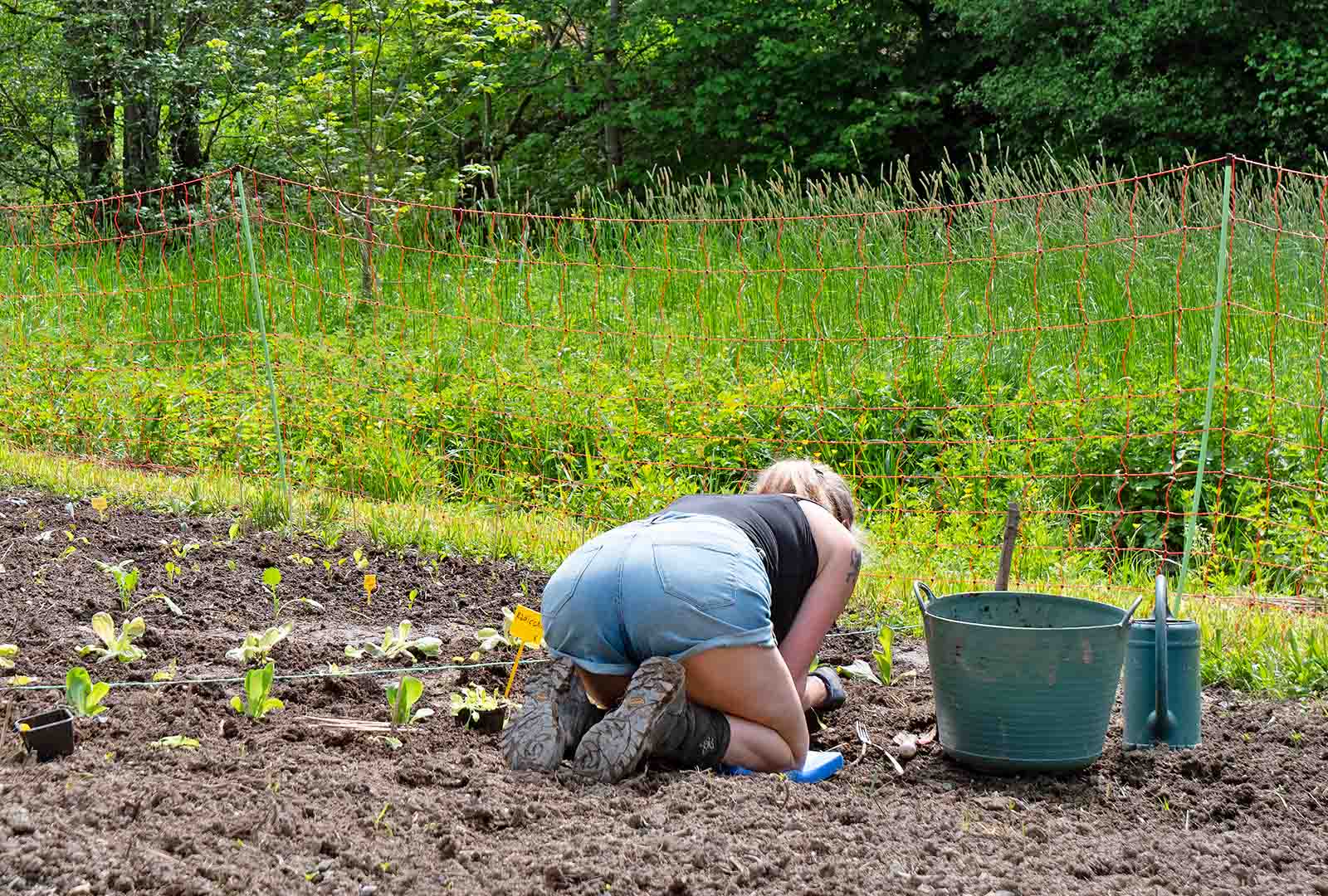 Henja Govers working in the kitchen garden