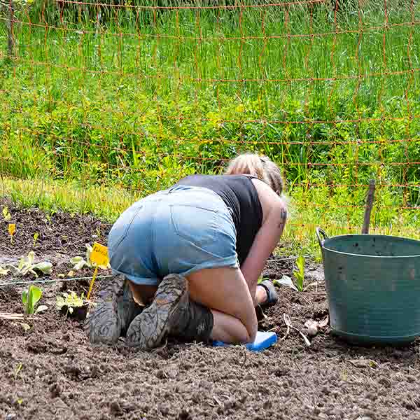 Henja Govers working in the kitchen garden