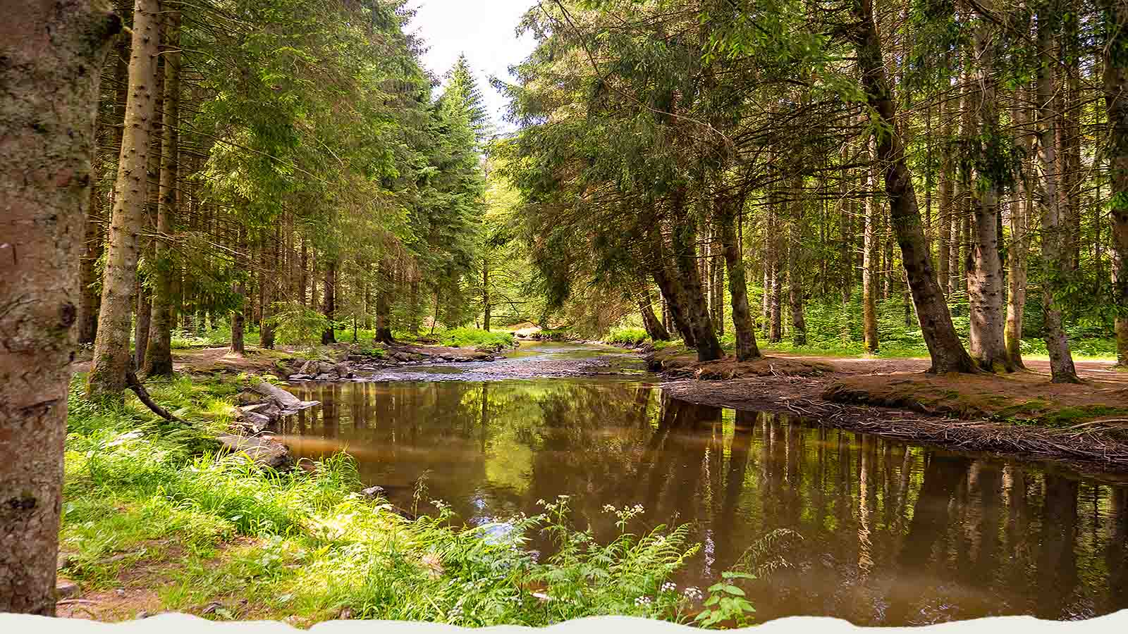 Zomer in de Ardennen - de Ourthe bij Houffalize nabij La Truite d'Argent